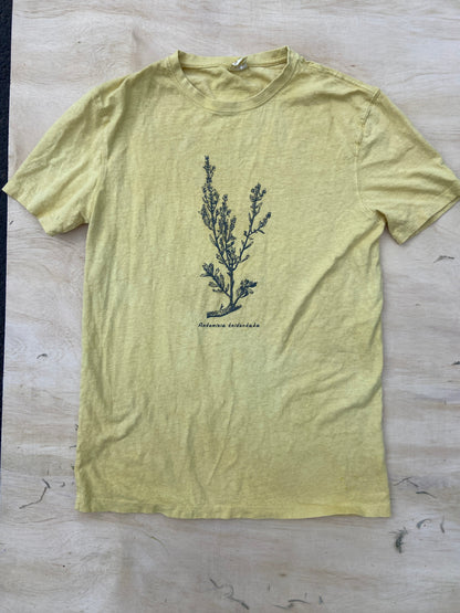 High Desert Tee